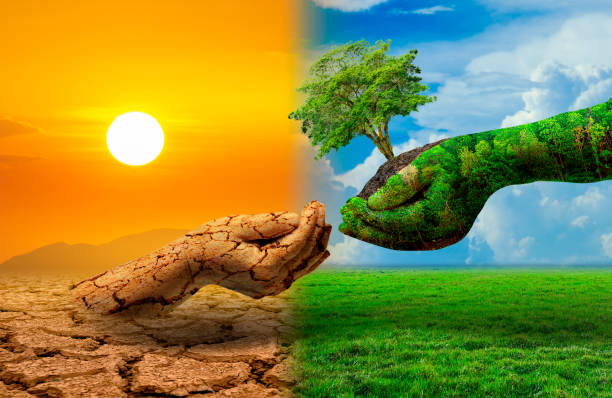 Two entrepreneur hands holding heart shape of big tree and earth globe of grass over blurred city sunset background