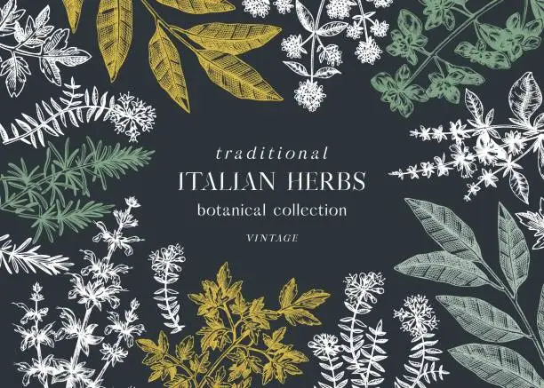 Vector illustration of Italian cuisine herbs design