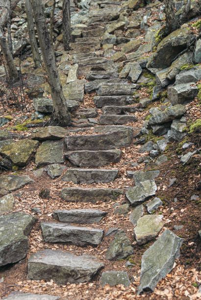istock Steep stone steps rise up a hillside in Pennsylvania. 1388198813