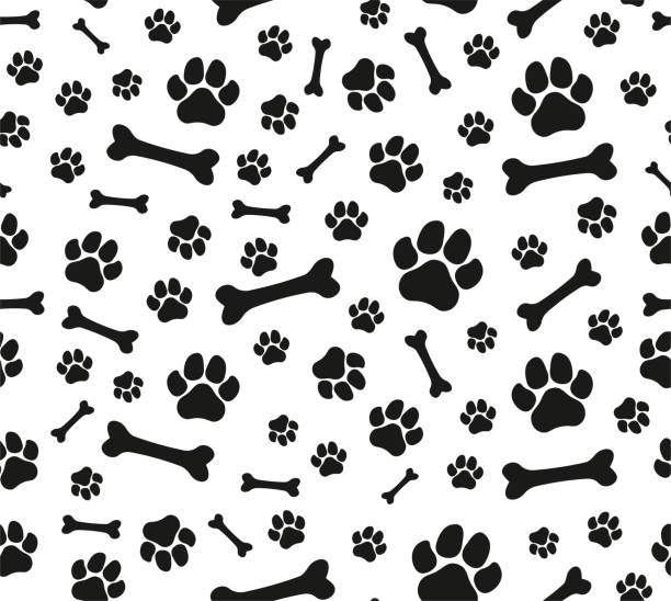 犬の足の痕跡のシームレスな無限のベクトルパターン。犬の足と骨。モノクロ - paw print点のイラスト素材／クリップアート素材／マンガ素材／アイコン素材