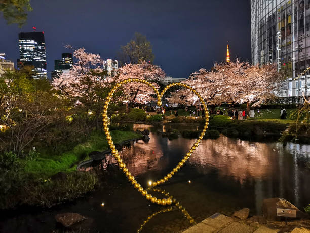 mohri garden d'aller voir des cerisiers en fleurs la nuit - roppongi hills photos et images de collection