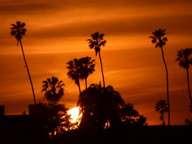 istock Southern California sunset 1388202618