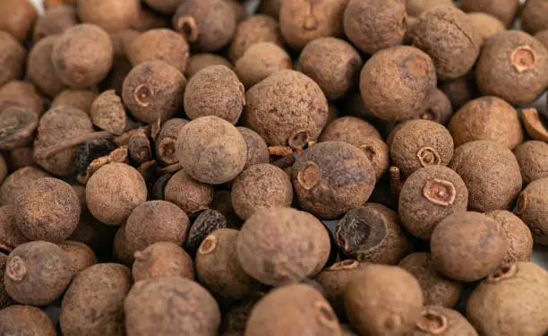 Pile of dried allspice fruits spices macro shot.