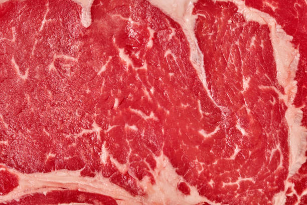 t-bone steak close-up - veal t bone steak raw steak imagens e fotografias de stock