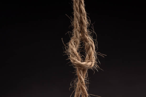istock Rope with a knot on black background 1388204288