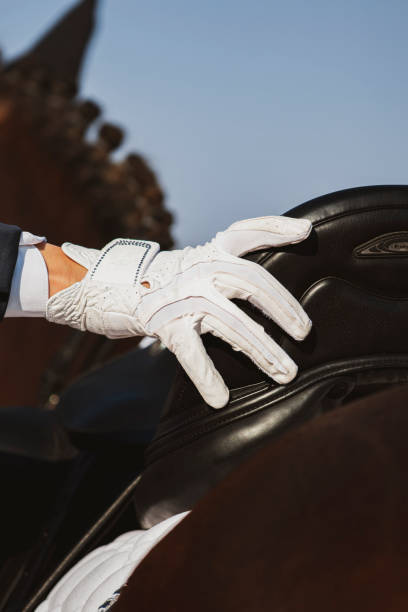 istock Equestrian gloves detail 1388204344