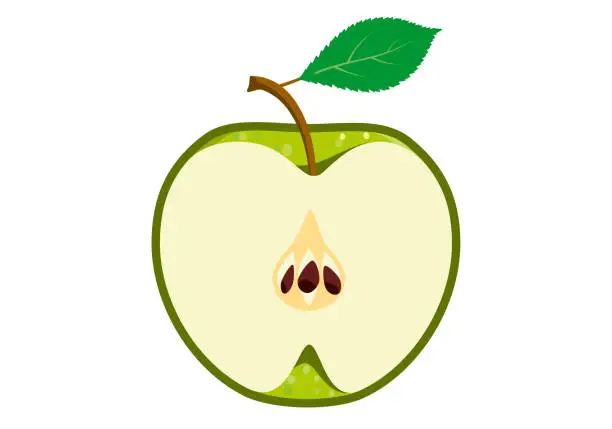 Vector illustration of Half an green apple. Sliced piece of vector fruit with leaf.