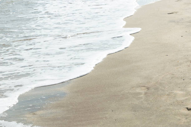 istock sea ​​foam on the beach 1388207311
