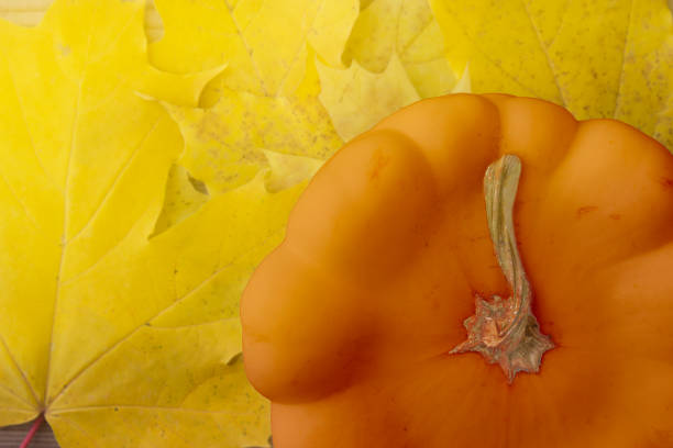 Tree with pumpkin background