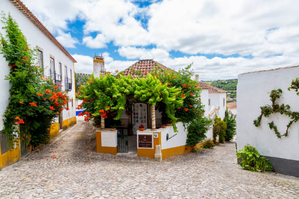 Picturesque guest house in Obidos, Portugal Óbidos, Portugal - June 27, 2021: Picturesque guest house in Óbidos village covered by vines and flowers obidos photos stock pictures, royalty-free photos & images