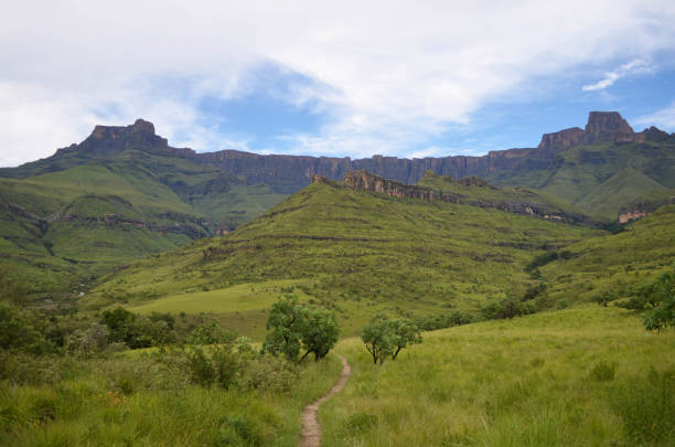 A hiking trail in the Drakensberg mountains A hiking trail in the Drakensberg mountains leading up towards the Amphitheatre. drakensberg mountain range stock pictures, royalty-free photos & images