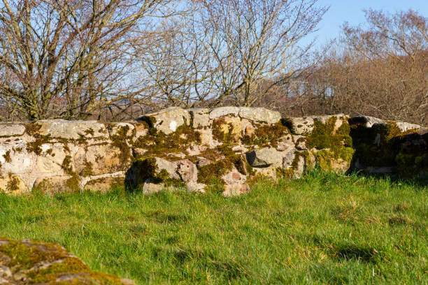 istock Harrow's Scar. 1388211153