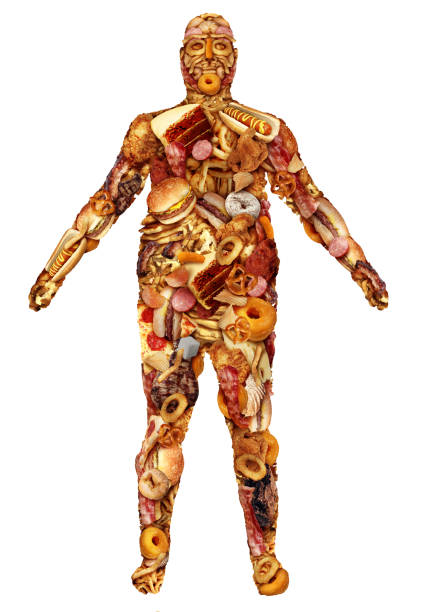 istock Human Made Of Junk Food 1388212236