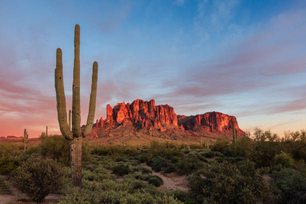 wüstenlandschaft mit saguaro-kaktus in den superstition mountains, arizona - phoenix stock-fotos und bilder