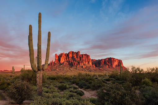 Scenic Sonoran Desert landscape with a Saguaro Cactus at sunset in the Superstition Mountains at Lost Dutchman State Park, Arizona, USA.