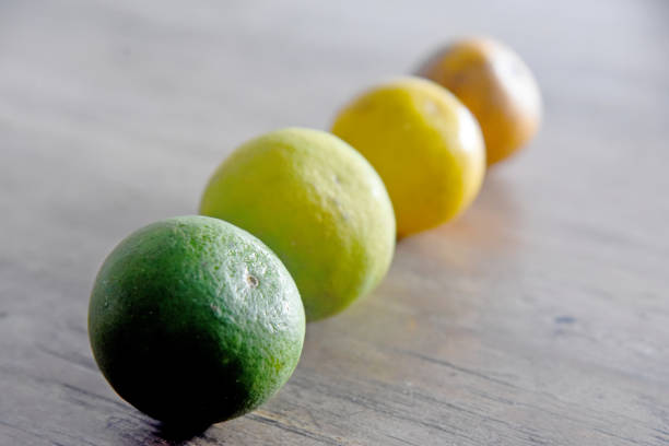 Groups of oranges fruit,placed on brown wooden table