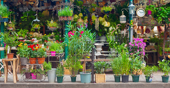 Flower shop in Paris, France