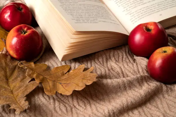 Autumnal flaylay composition with red ripe apples and dry oak leaves scattered around open book