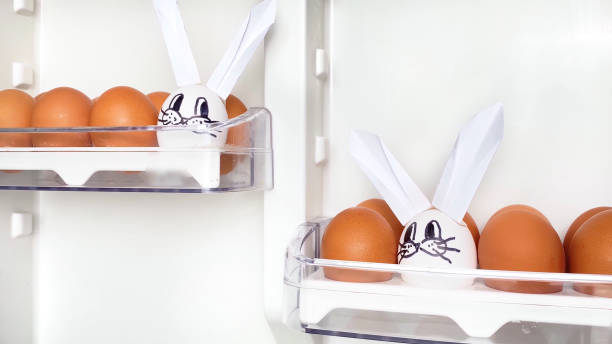 Diy easter bunny rabbits made from white egg and brown eggs in refrigerator. Happy Easter holiday concept stock photo
