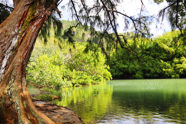 istock Hawaii Crouching Lion Hike Landscape 1388220236