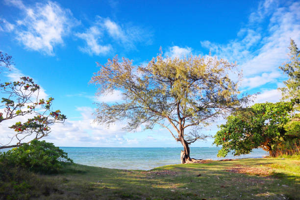 istock Hawaii Crouching Lion Hike Landscape 1388220292