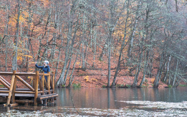 istock Taking photos by mobile phone in autumn in forest 1388221827