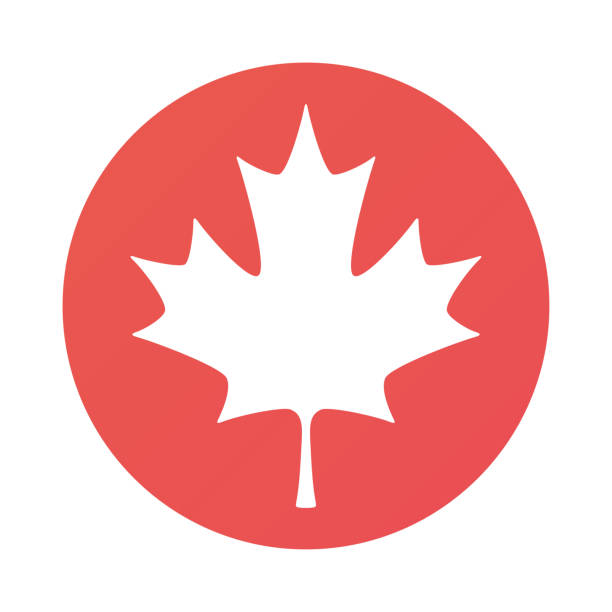 illustrazioni stock, clip art, cartoni animati e icone di tendenza di icona della foglia d'acero canadese - canadian flag immagine