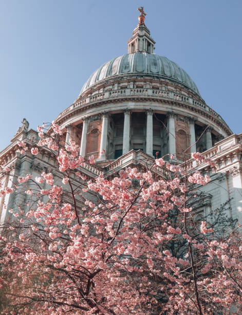 istock St. Paul's Cathedral with pink cherry blossoms trees during Spring time in London, UK 1388224012
