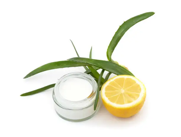 Photo of Green aloe plant with lemon and cream.