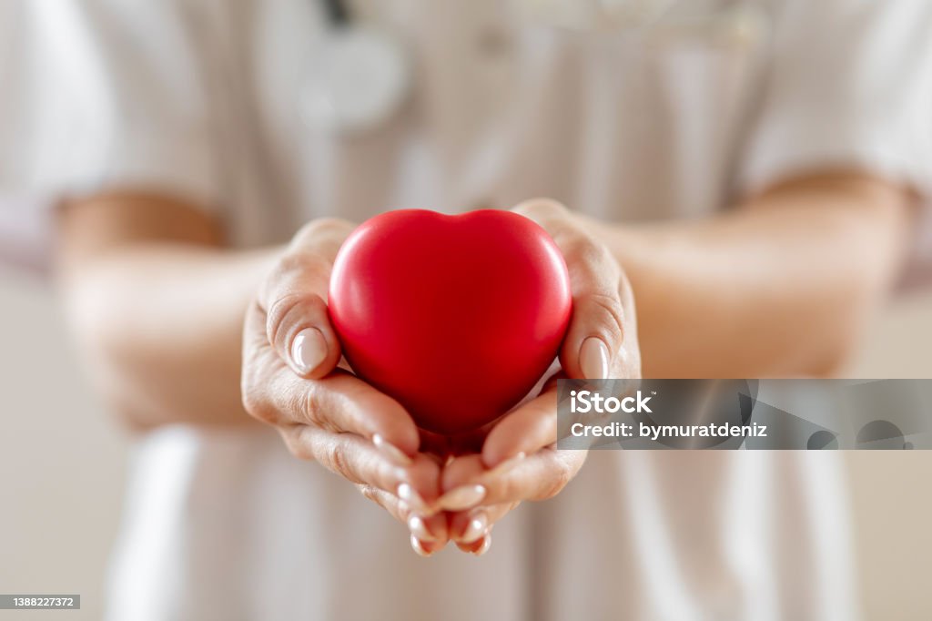 Woman doctor holding heart in hands Blood Donation Stock Photo