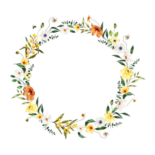 акварельный летний цветочный венок с выделенными желтыми белыми полевыми цветами. цветочная весна круглая рамка цветок иллюстрация сваде� - invitation love shape botany stock illustrations