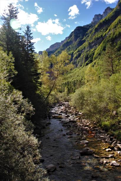 istock Scenic view of river amidst trees against sky. 1388230823