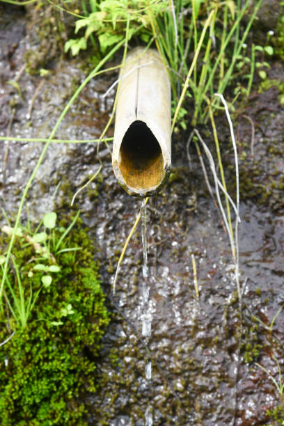 istock Small water irrigation on the rice feld 1388231350