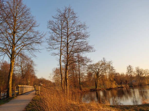 istock sundown at a lake in germany 1388235155