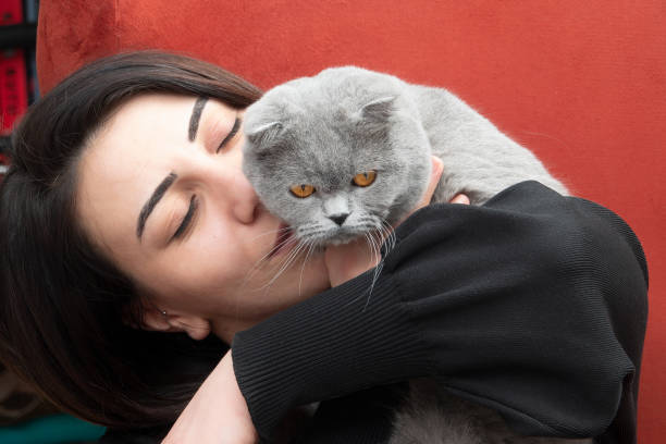 istock Young Brunette Woman with Scottish Fold Kitten 1388235324