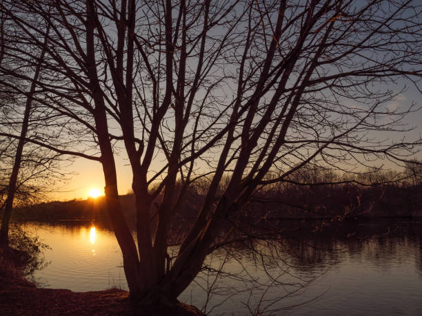 istock sundown at a lake in germany 1388236978