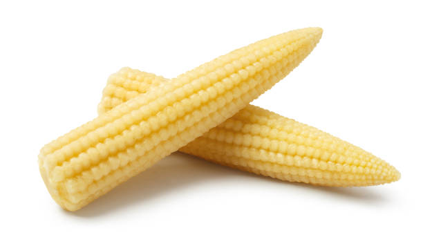 istock Delicious baby corn on white 1388239500