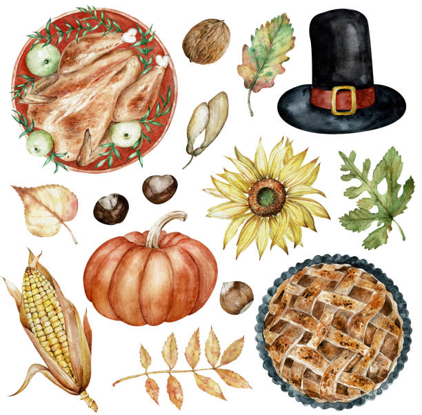 illustrazioni stock, clip art, cartoni animati e icone di tendenza di clipart ad acquerello di elementi del giorno del ringraziamento tacchino al forno, cappello, noci, girasole, zucca, foglie autunnali. - christmas dinner food turkey