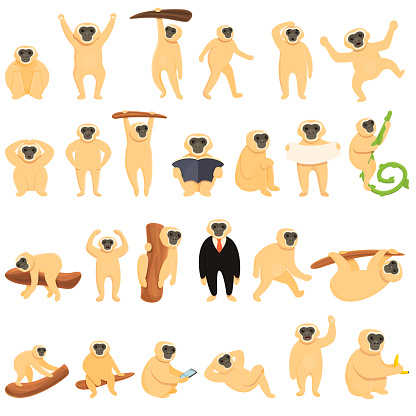 Gibbon icons set. Cartoon set of gibbon vector icons for web design