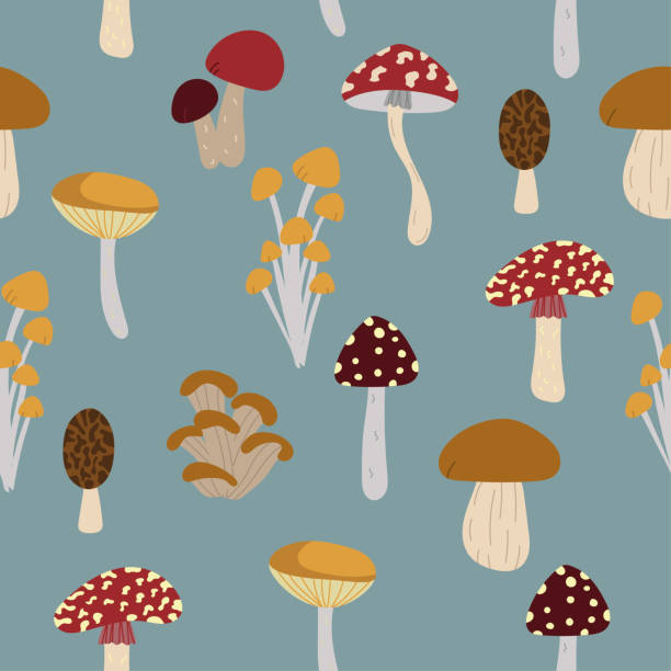 ilustrações, clipart, desenhos animados e ícones de design de padrão sem emendas. cenário de outono para papel de parede, impressão, têxtil, tecido, embalagem. cogumelos isolados no fundo azul - mushroom edible mushroom red botany