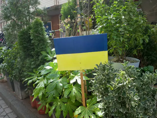 an ukrainian flag in a plantpot on the sidwalk