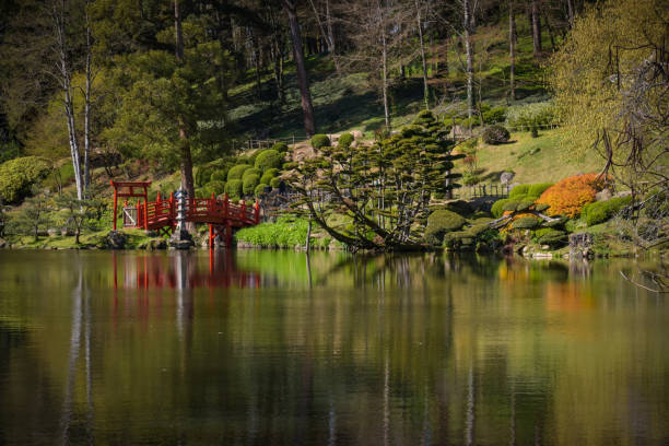 beautiful landscape in the oriental park of Maulevrier
