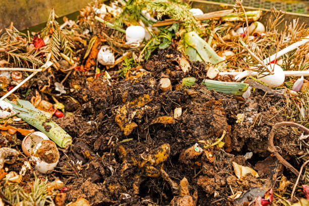 istock compost in an organic working urban garden 1388248124