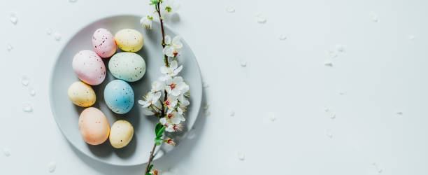 istock Top view Colored Easter eggs and blooming tree branch on the gray plate with flower petals on the white table. Happy Easter and springtime wide banner. Minimalism. Selective focus. Copy space. 1388248441