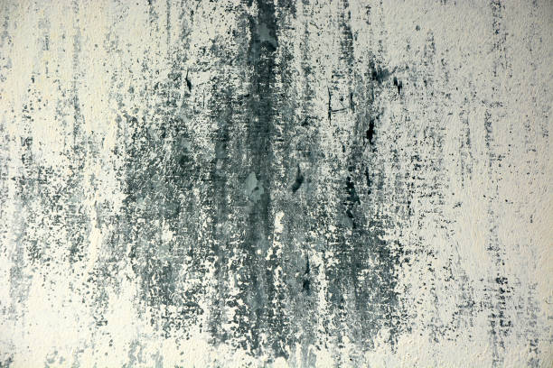 istock Texture from dirty, old concrete. The picture can be used as a background 1388251883
