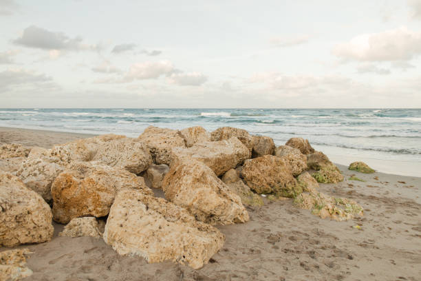 Empty Rocky Beach Shoreline in Palm Beach, Florida Empty Rocky Beach Shoreline in Palm Beach, Florida rocky coastline stock pictures, royalty-free photos & images