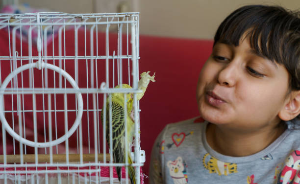 istock Little Girl With A Budgie 1388257336