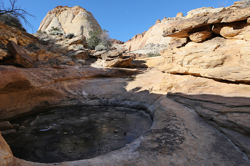 Water Pocket at Capitol Gorge in Capitol Reef National Park\nUtah