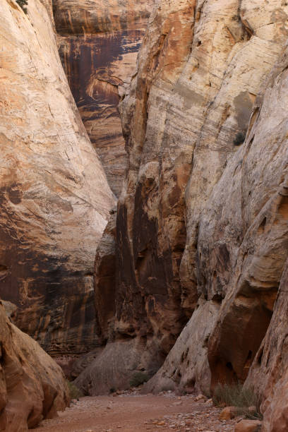 istock Grand Wash at Capitol Reef National Park 1388257658