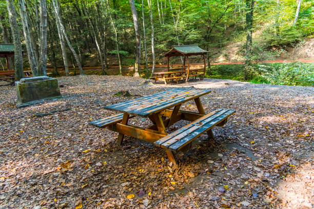 istock Wooden picnic table in forest at springtime 1388258423